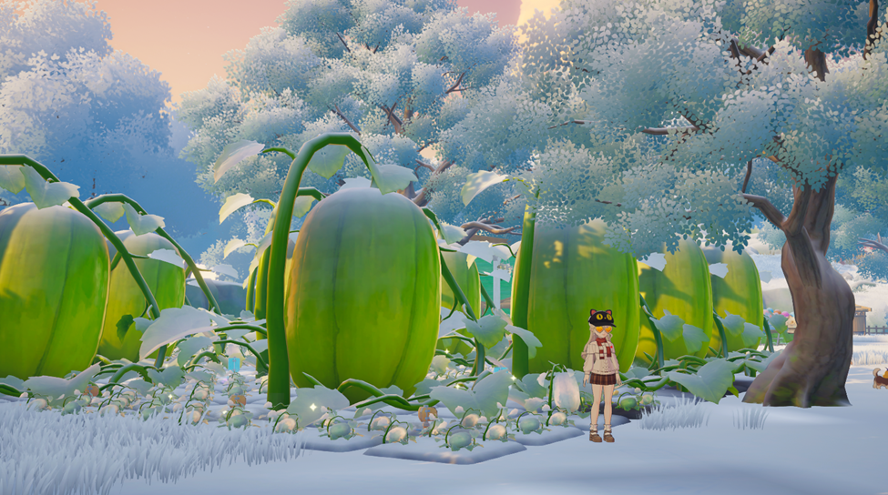 Starsand Island giant winter melons